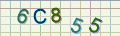 visual captcha